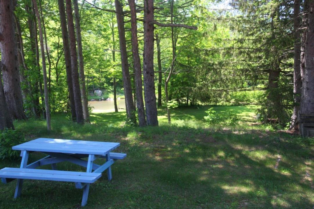 Resort View Hunter